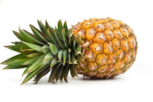 ripe pineapple on a white background
