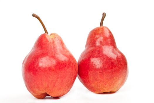 two red pears on white background