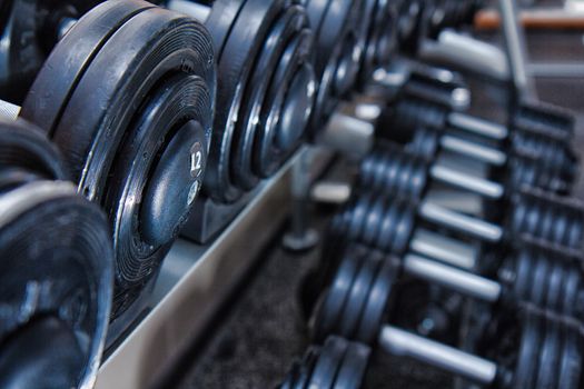 dumbbells in the gym