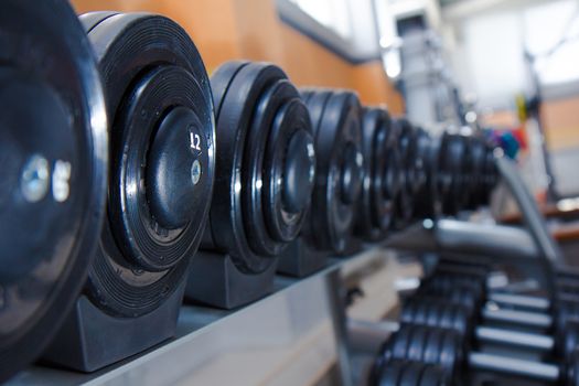 dumbbells in the gym