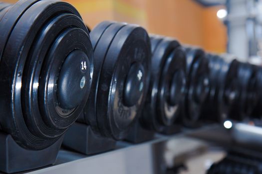 dumbbells in the gym