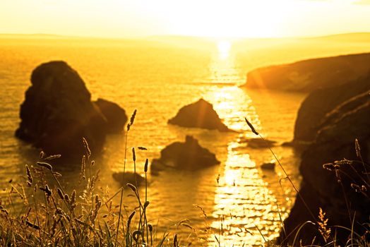 beautiful sunset over the virgin rock with wild tall grass on the wild atlantic way