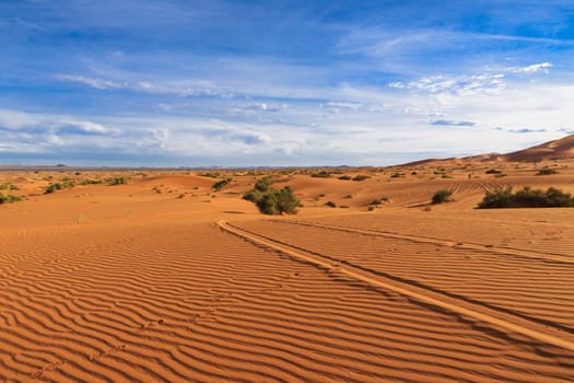 dune erg Chebbi in the blue sky, Morocco