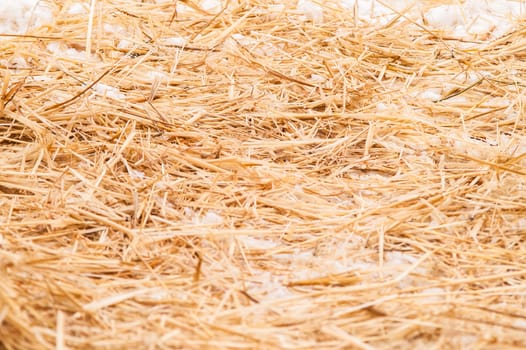 hay, straw with snow lying on the ground