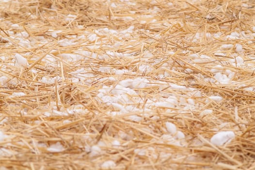 hay, straw with snow lying on the ground