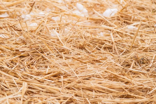 hay, straw with snow lying on the ground