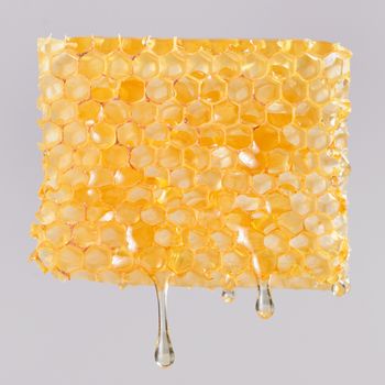 Honey dripping on honeycombs
