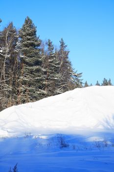 Winter landscape with frozen forest against blue sky