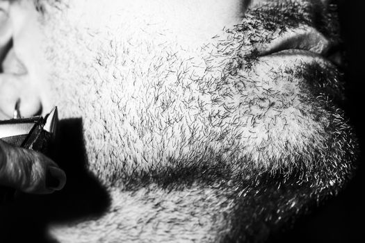 Hairdresser, cutting beard of his customer with scissors and shave in the salon