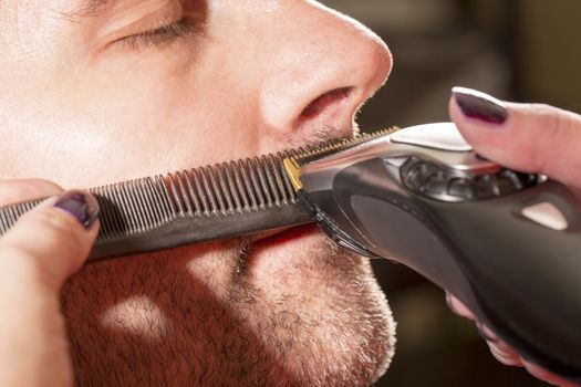 Hairdresser, cutting beard of his customer with scissors and shave in the salon