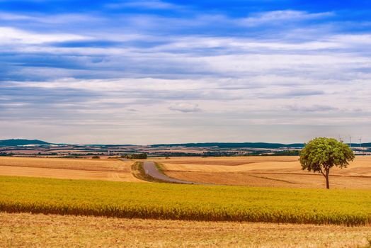 Austria Countryside Landscape. Northern Austria in Summer. Europe.