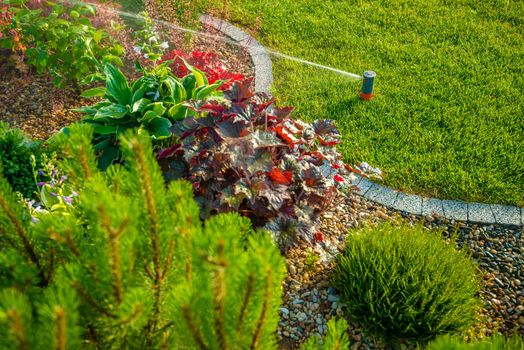Backyard Lawn and Garden Sprinkler Closeup. Garden Watering.
