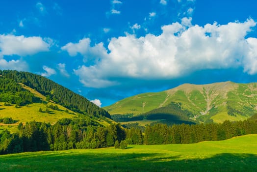French Alps in Summer. Green Hills near Megeve, France, Europe. Summer Mountains Landscape.