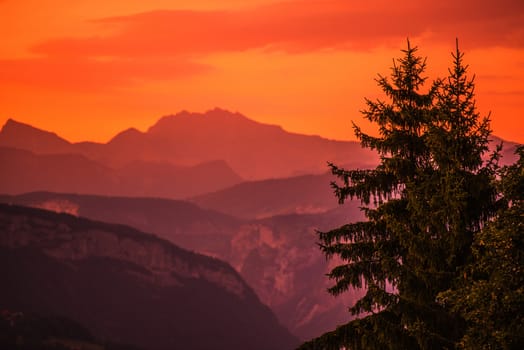 Mountains Sunset Photo Background. Scenic Reddish Sunset with Spruce Trees Over Mountains.