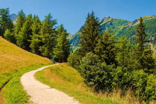 Swiss Mountains Trail. Swiss Alps Summer Trail.