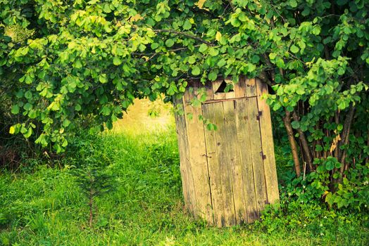 Old Wooden Backyard Outhouse. Rustic Outhouse