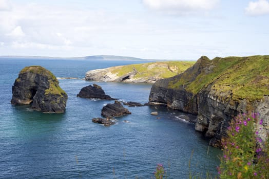 beautiful views over the virgin rocks with wild tall grass and flowers on the wild atlantic way