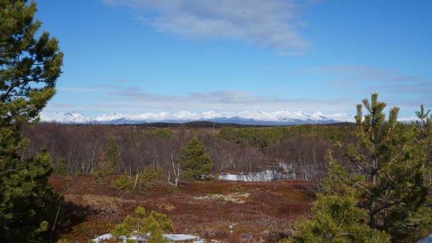 Landscape Nordland
