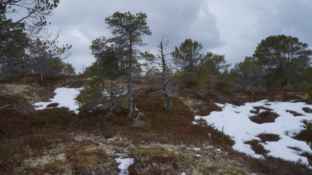 Landscape Nordland