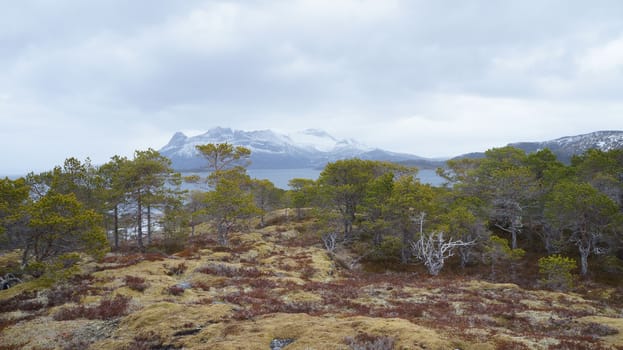 Landscape Nordland