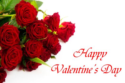 Happy Valentine's Day, red roses on a white background