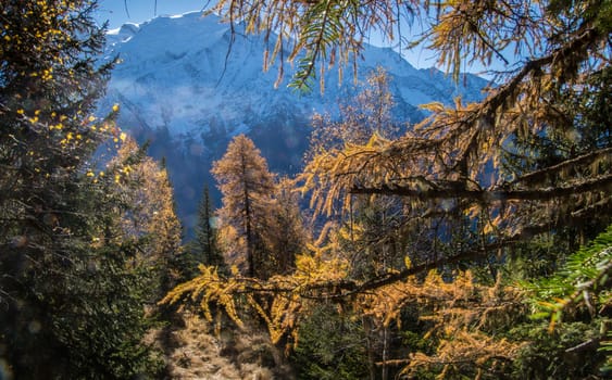 la flatiere,chamonix,haute savoie ,france