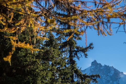 la flatiere,chamonix,haute savoie ,france