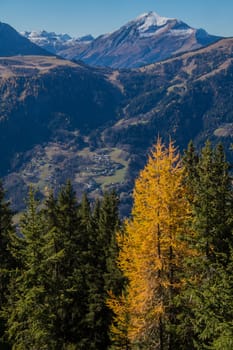 la flatiere,chamonix,haute savoie ,france