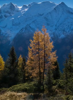 chalets de chailloux,chamonix,haute savoie,france