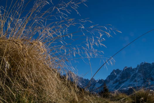 chalets de chailloux,chamonix,haute savoie,france