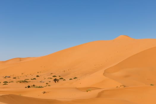 dune erg Chebbi in the blue sky, Morocco