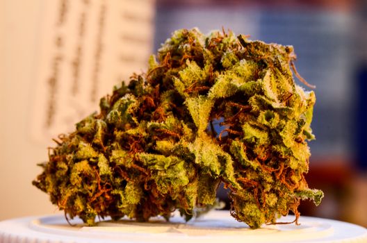 Recreational Marijuana, Strain Trainwreck from Kindman