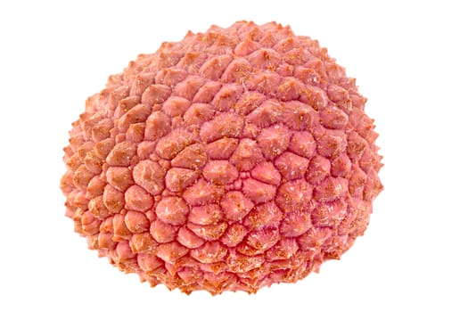 One lychee isolated on a white background