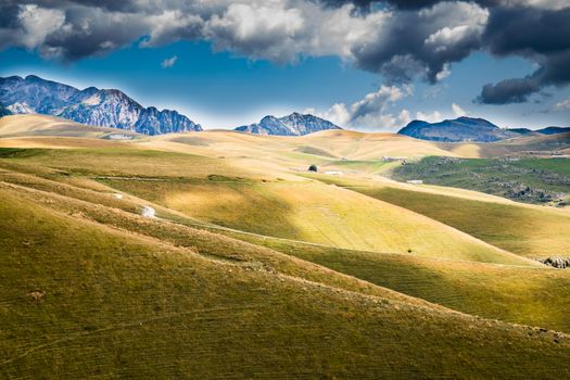 View of meadows in the mountains that create sinuous lines.