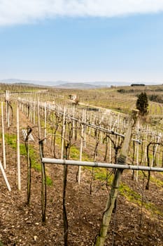 Vineyards and farmland on the hills in spring, Italy.