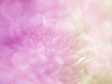 image of bright colorful bokeh overlap with flower image background