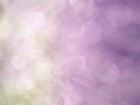 image of bright colorful bokeh overlap with flower image background