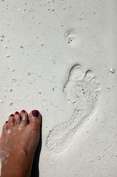 Footprints on a coral beach nearby stone town. Zanzibar