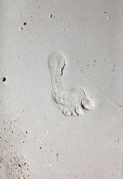 Footprints on a coral beach nearby stone town. Zanzibar