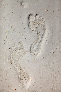 Footprints on a coral beach nearby stone town. Zanzibar