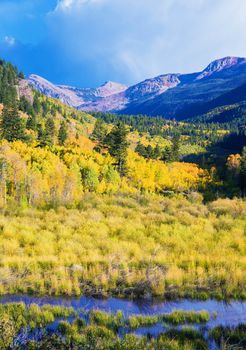 Aspen Colorado Landscape in Vertical Photography. Fall in Aspen, Colorado, United States.