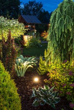 Backyard Garden Illumination. Illuminated Garden at Night with Various of Plants. Vertical Closeup Photo.
