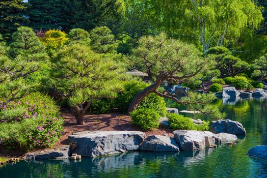 Large Rockery Garden and the Pond. Summer Vegetation. Japanese Garden.
