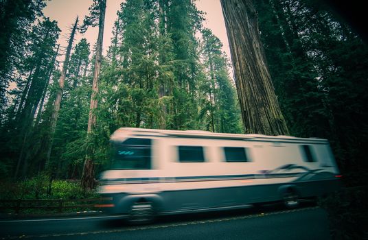 California RV Trip. Class A Recreational Vehicle Speeding on the Redwood Forest Road in Northern California, United States.