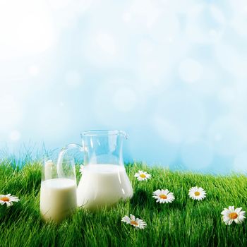 Milk jug and glass on the grass with chamomiles background