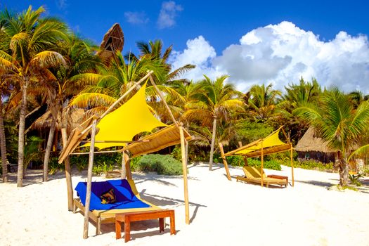 Tranquil scene of ocean beach with palm trees and relaxation beds, Tulum, Mexico