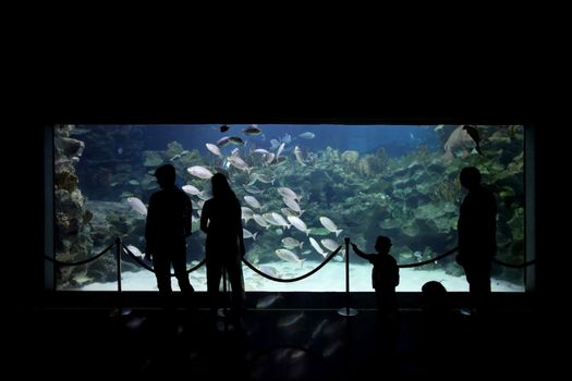 People watching big aquarium with tropical fish