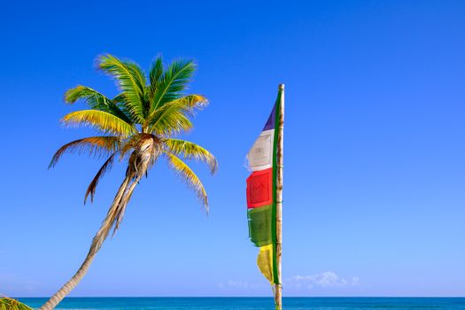 Summer image of palm tree and Buddhist prayer flag with ocean background