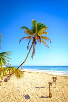 Beautiful tranquil scenic view of summer beach landscape with palm trees, Tulum, Mexico