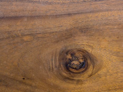 texture of wood , use for background